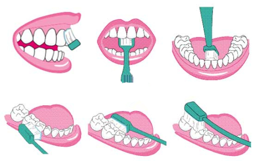 brush-teeth-550-349_副本.png