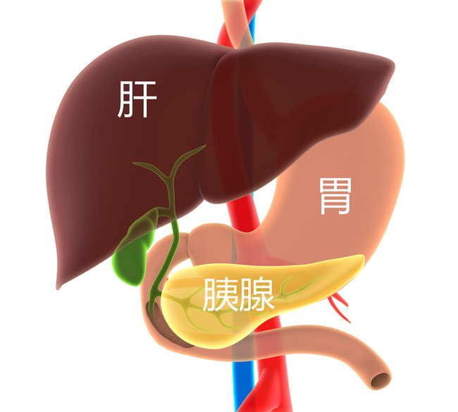 datu9.jpg
